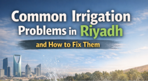 Common Irrigation Problems in Riyadh and How to Fix Them