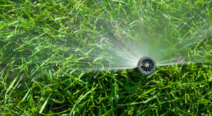 Why Efficient Irrigation Reduces Landscaping Expenses