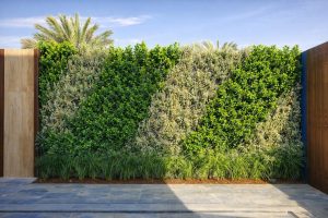 Modern Softscape Landscaping Ideas for Residential Properties