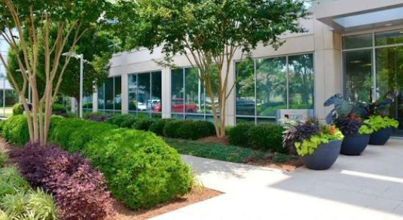 How Commercial Landscaping Improves Customer Experience