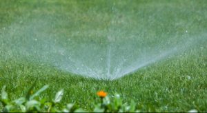 How to Build a Sustainable Irrigation System for a Riyadh Landscape