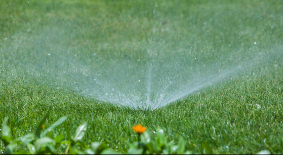 How to Build a Sustainable Irrigation System for a Riyadh Landscape