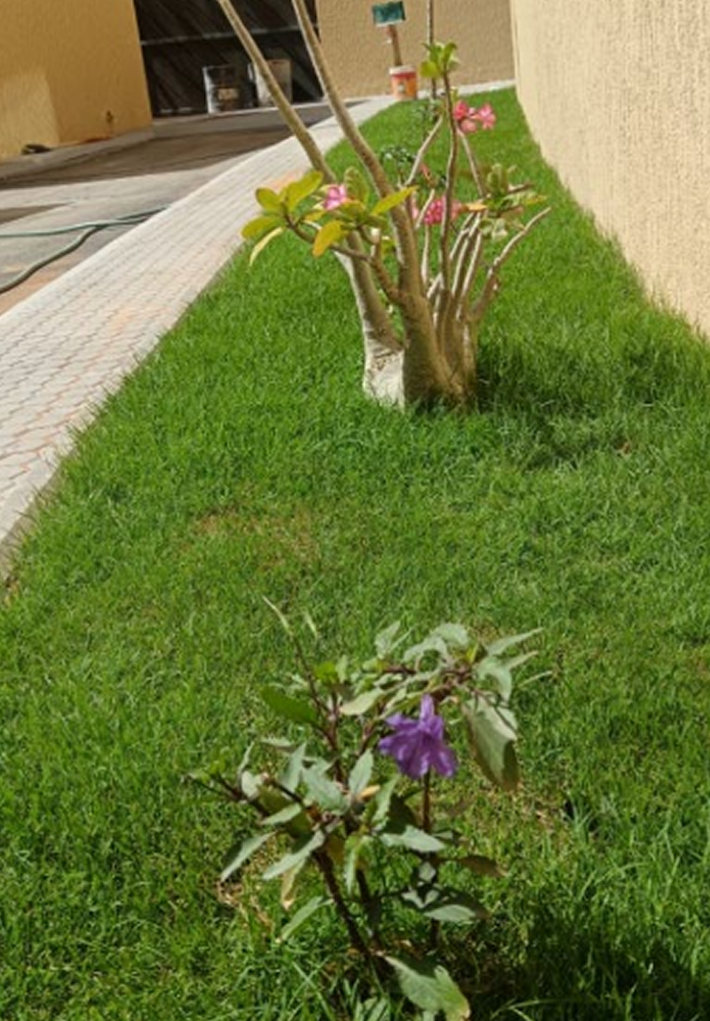 image 103 (1)