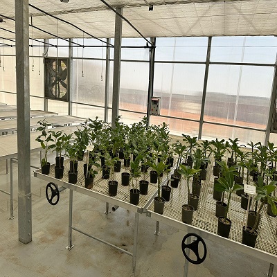 nursery