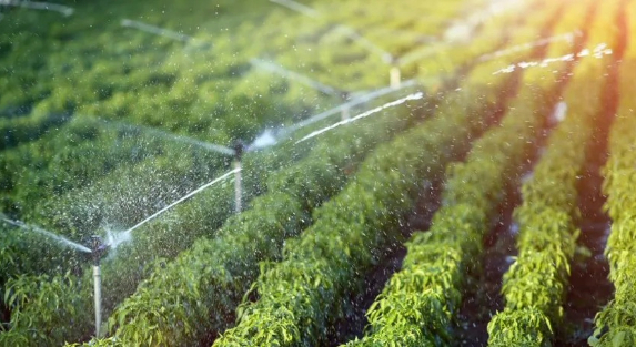 How Smart Irrigation Supports Softscape Landscaping in Riyadh