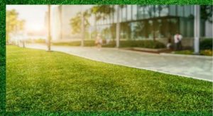 Why Businesses Should Invest in Professional Landscaping Services
