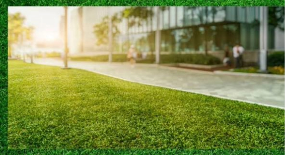 Why Businesses Should Invest in Professional Landscaping Services