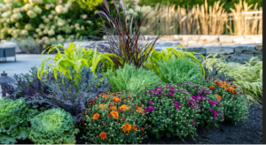 Why Professional Softscape Landscaping Is Worth the Investment