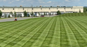 How to Choose a Commercial Landscaping Company for Your Business
